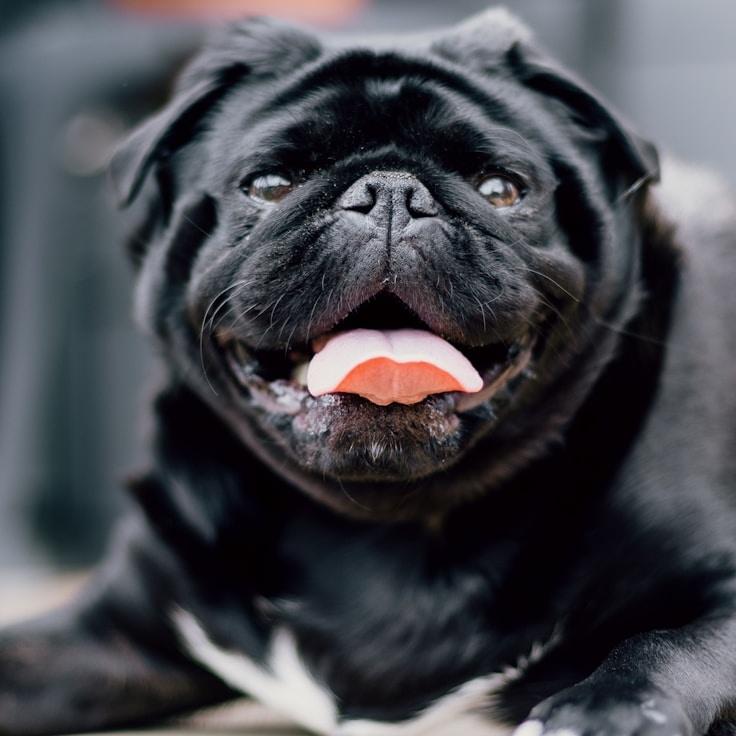 Kaveri Mehta, Lead Design Curator at MeasureDeepCanvas, reviewing corporate floral arrangements
