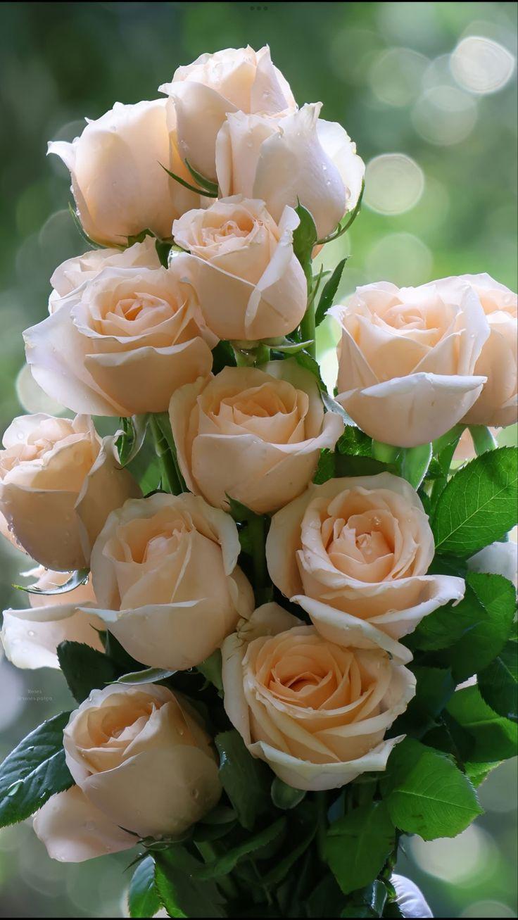 Professional floral arrangement in modern corporate setting